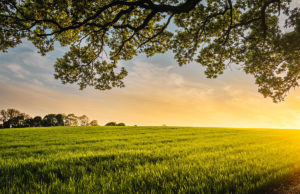 LA FONDATION DANIEL, NINA CARASSO ET L’AGROÉCOLOGIE